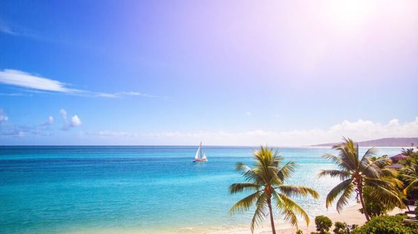 Pourquoi choisir un promoteur immobilier à l'île Maurice ?